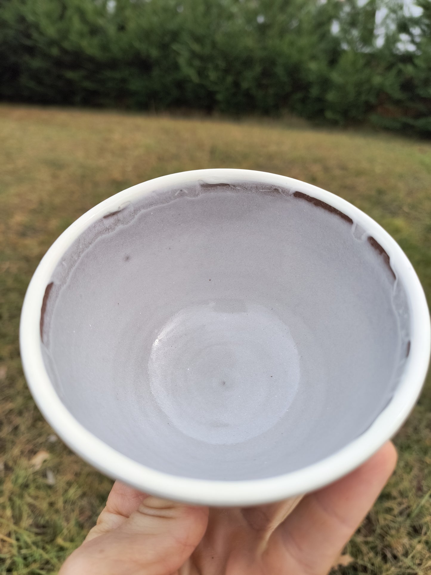 Bee Balm Ice cream Bowl A