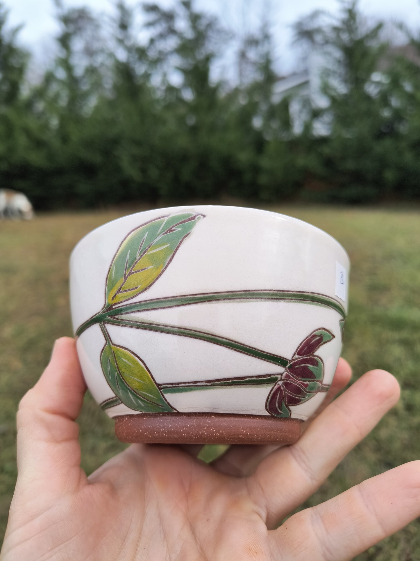 Bee Balm Ice cream Bowl B