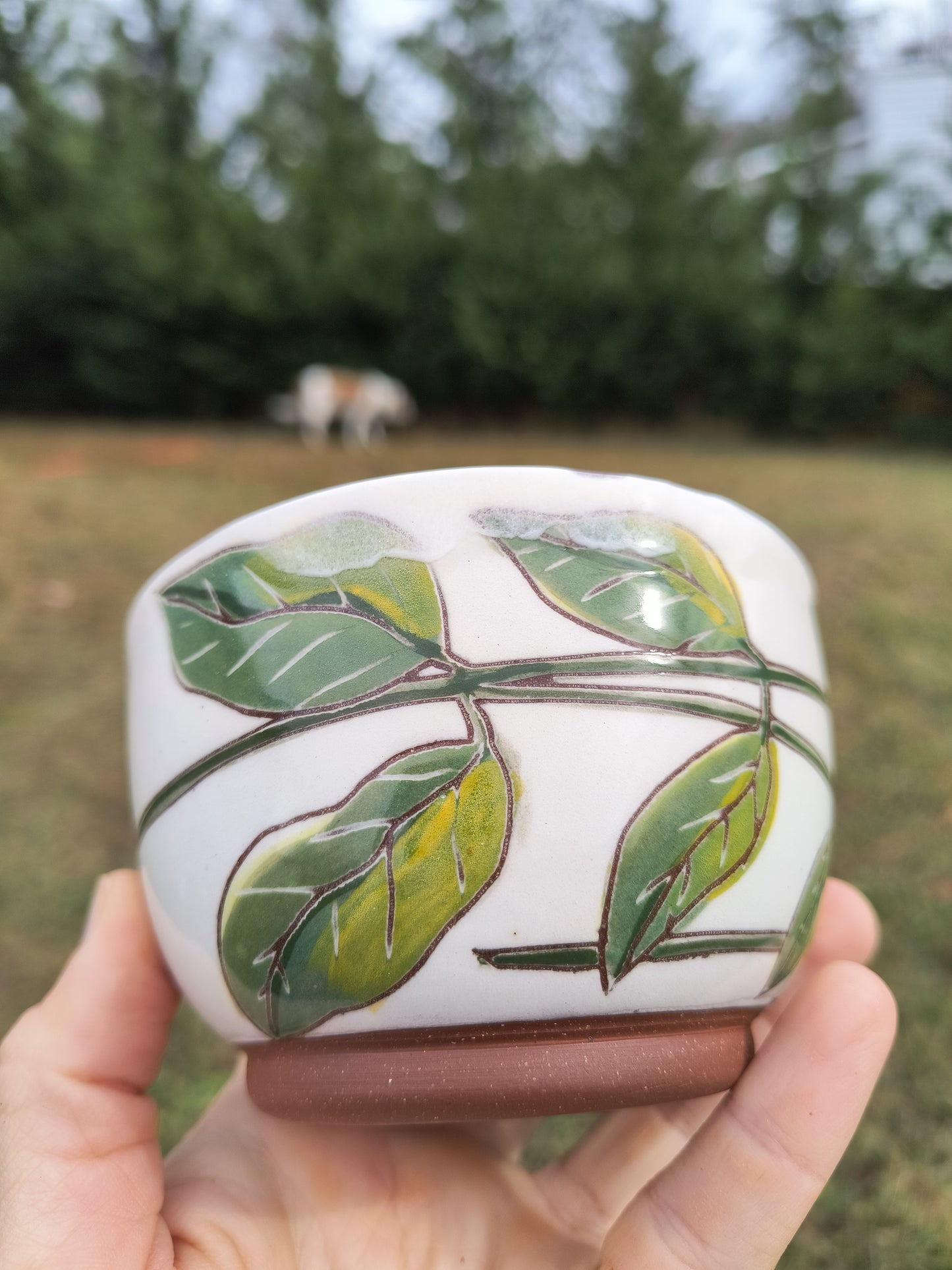 Bee Balm Ice cream Bowl A