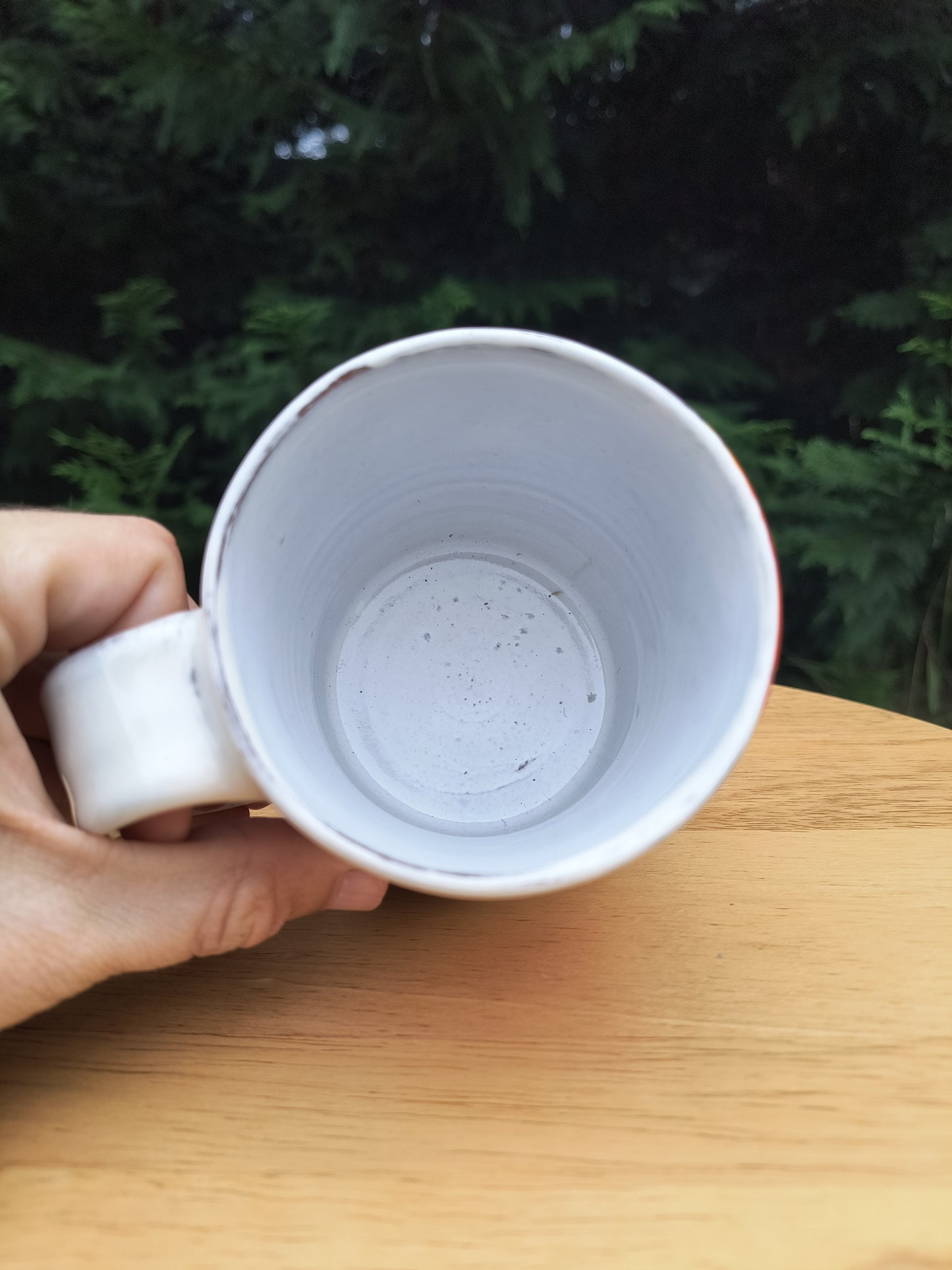 Grapefruit Mug 14oz