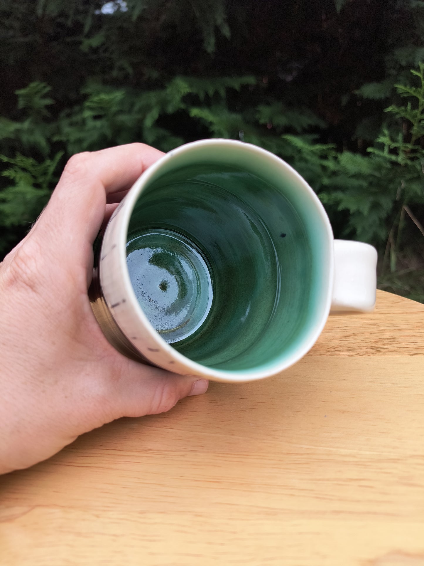 Blue Ridge Mountain Mug 14oz