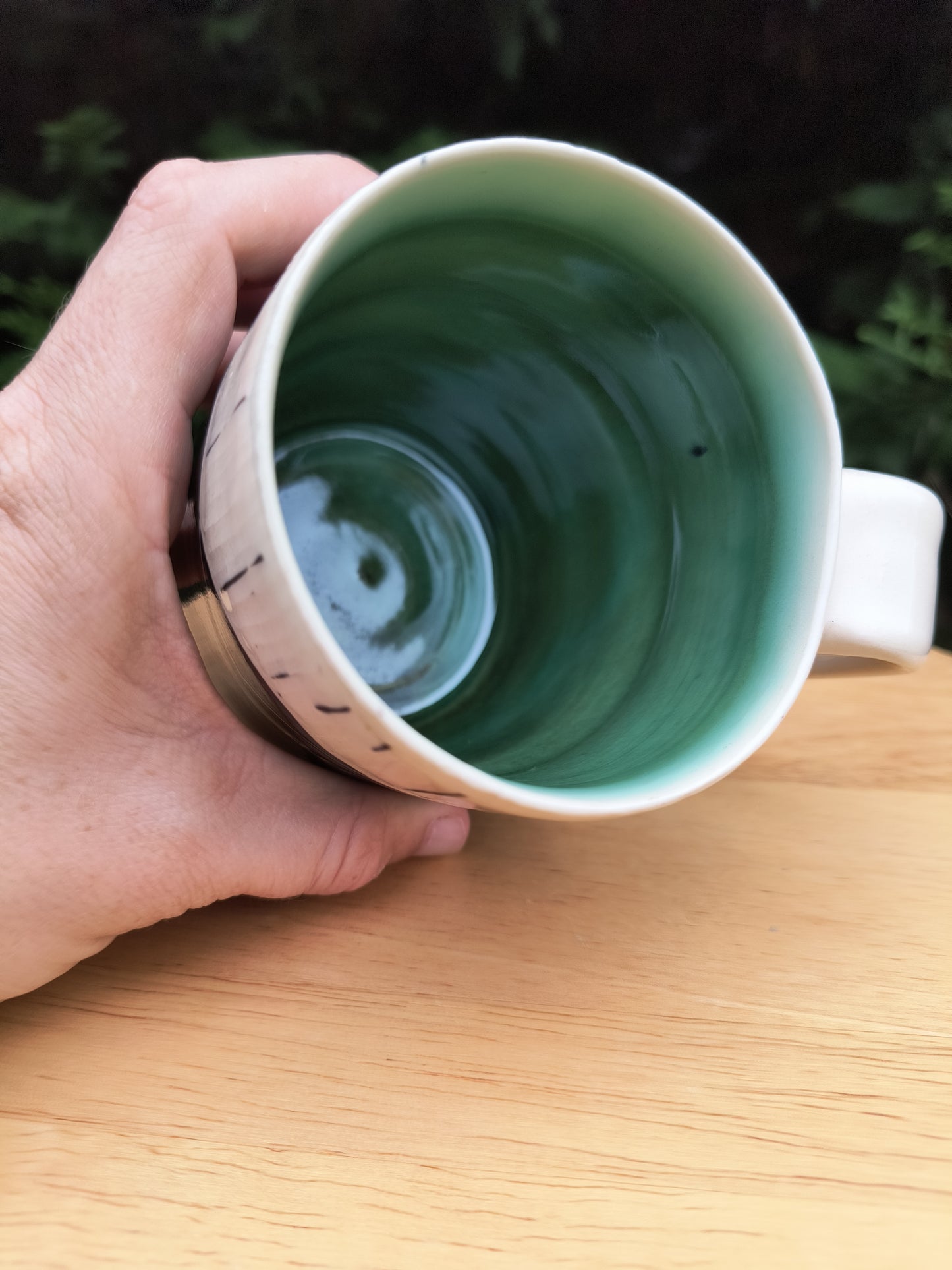 Blue Ridge Mountain Mug 14oz