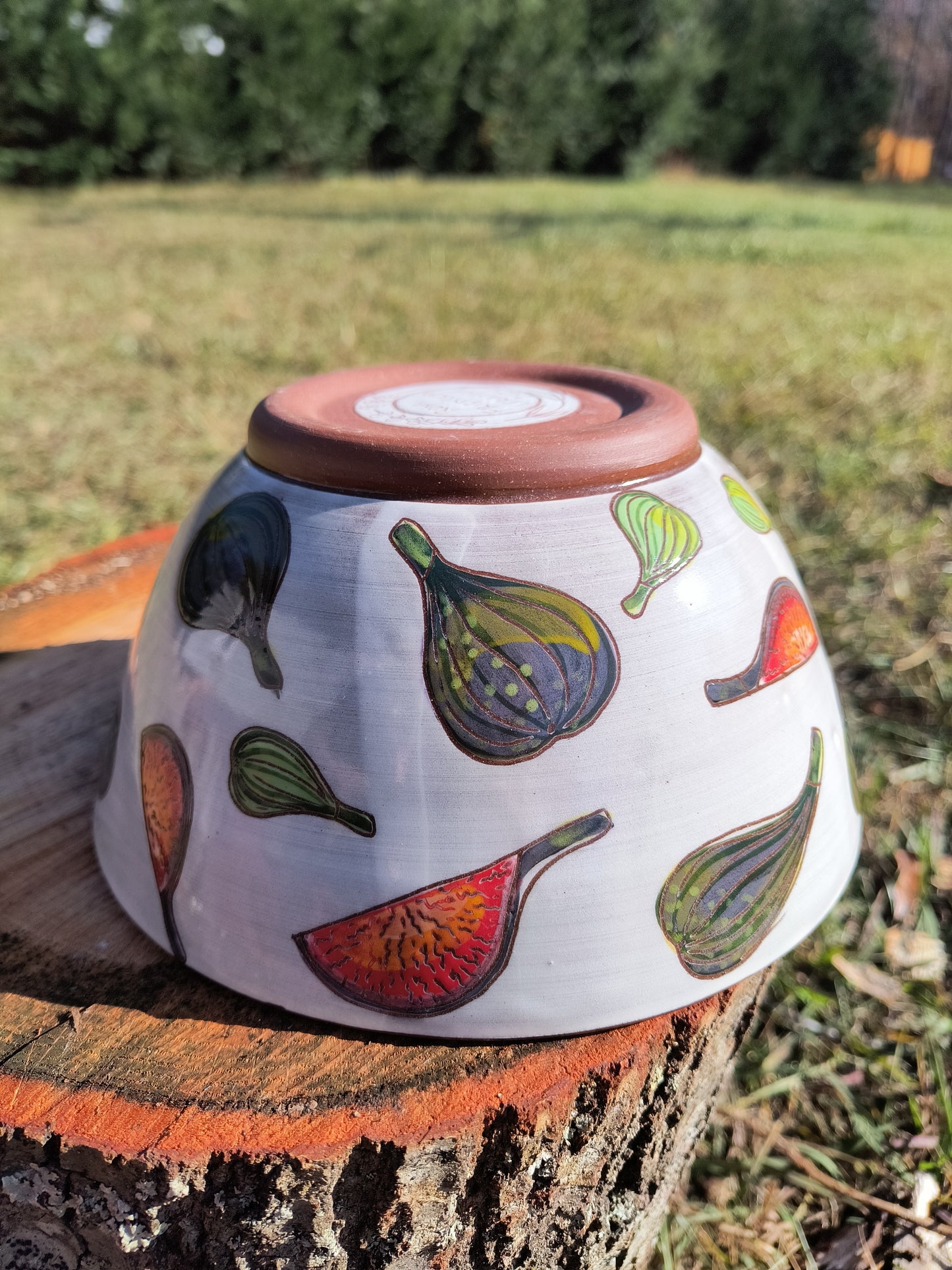 Fig Bowl (Medium)