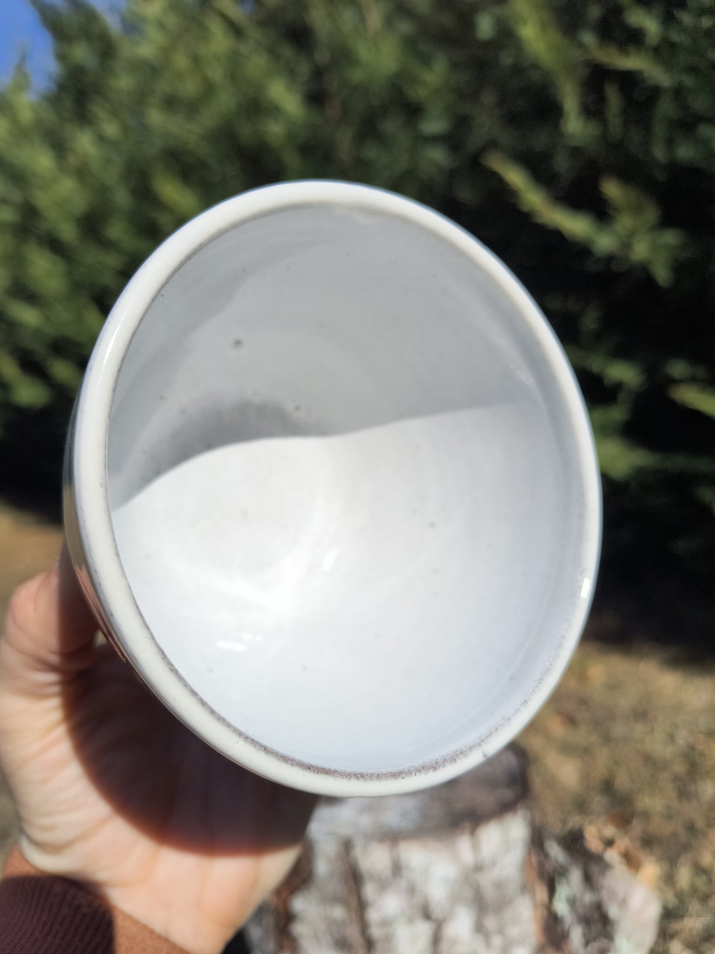 California Poppy Everyday Bowl