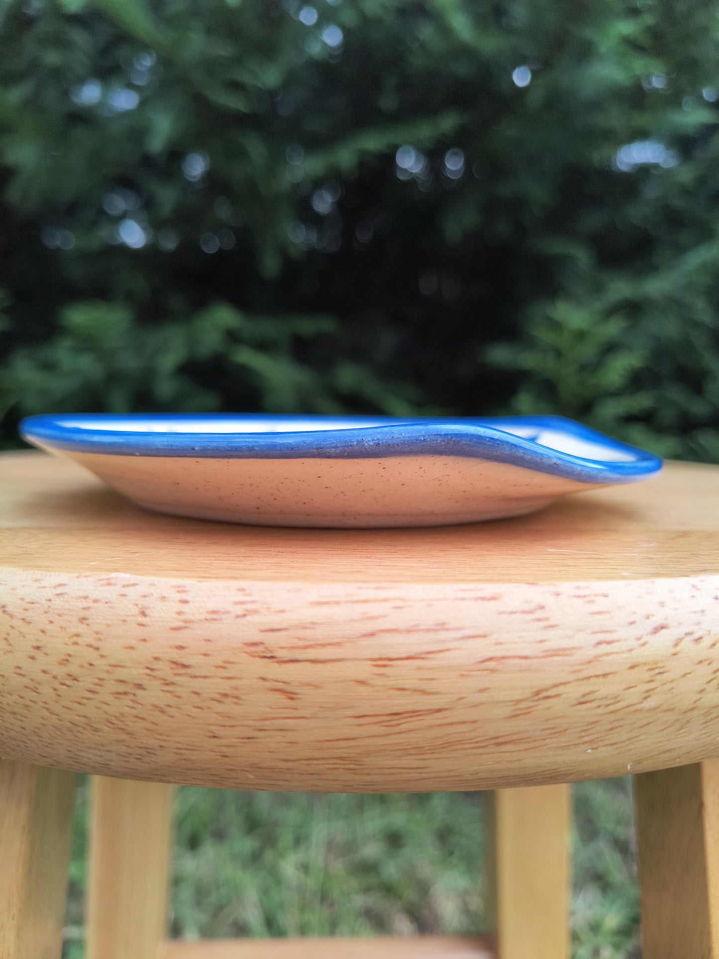Blue Lemon Spoon Rest A