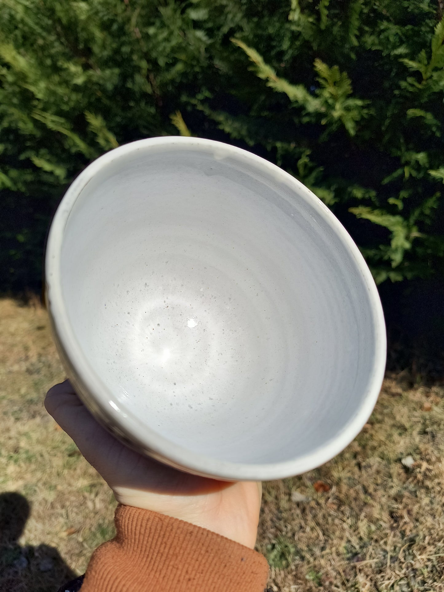 California Poppy Scalloped Bowls Set of 4