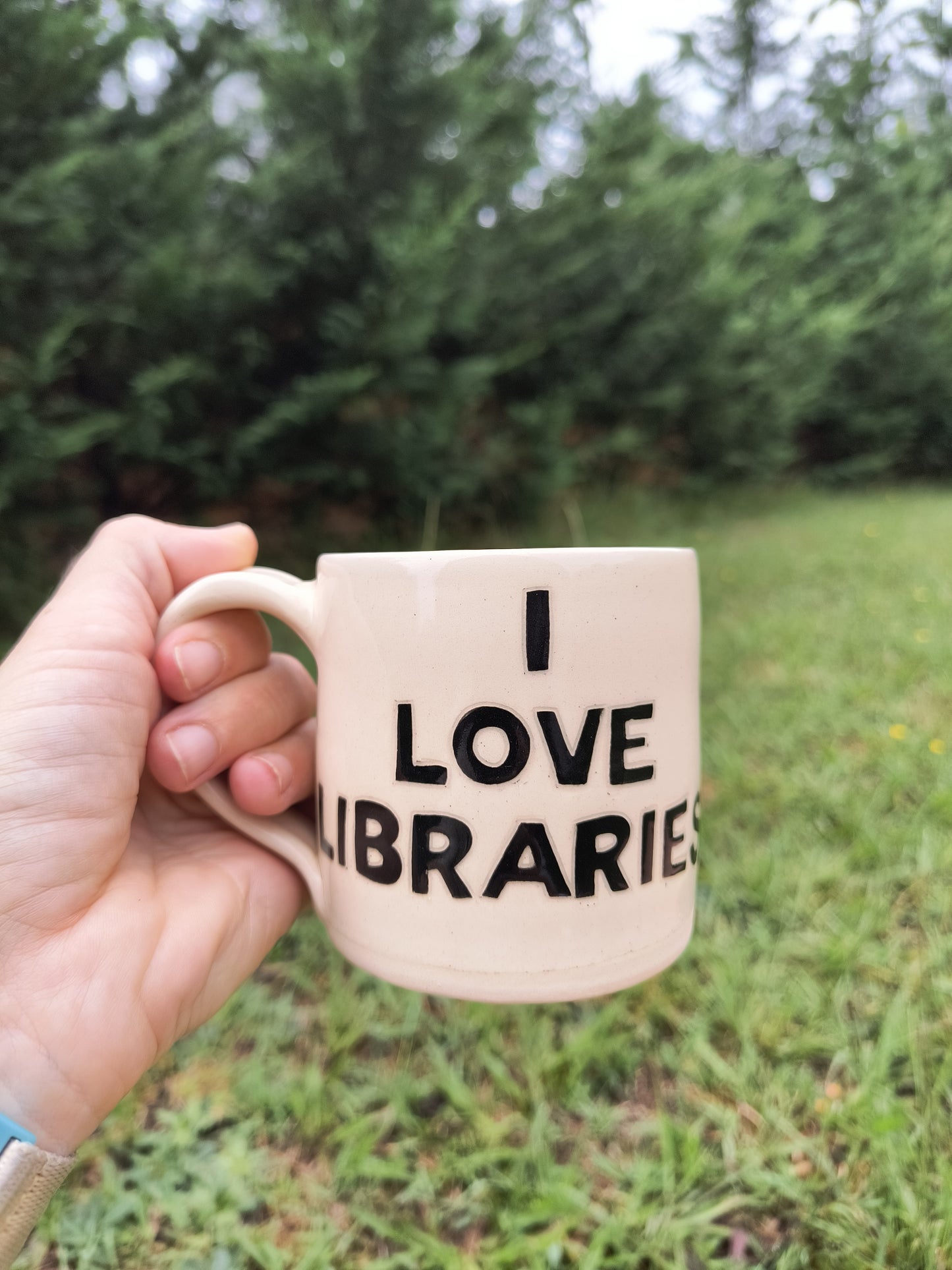 I Love Libraries Mug