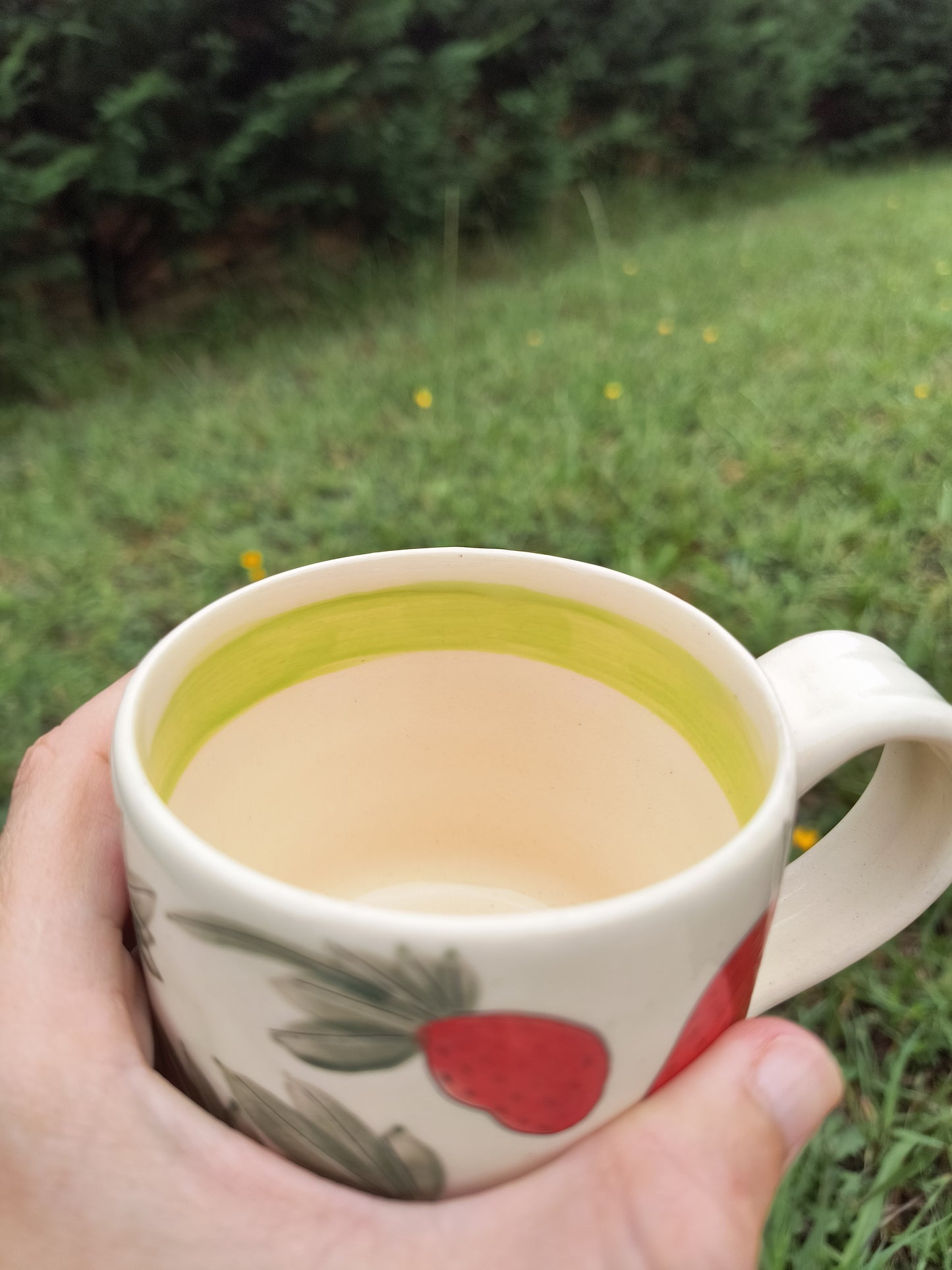 Strawberry Mug-lime green rim