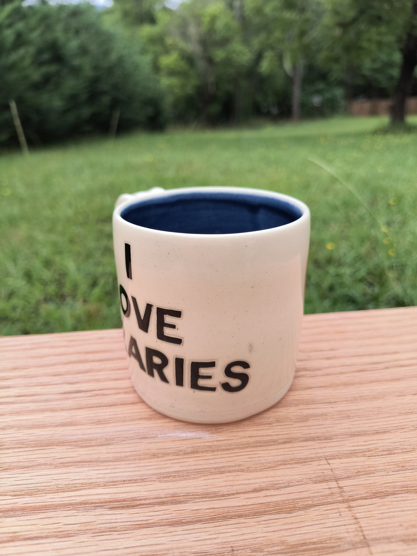 I Love Libraries Mug